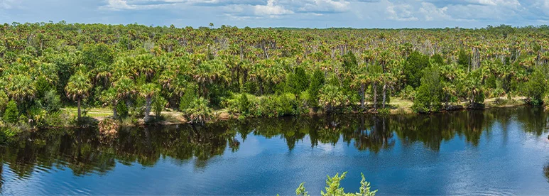 RBMA Paradigm April 12-15 2026 Championsgate, FL